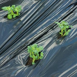 Lámina de mantillo orgánico para jardín, compostable, 1,0 x 10 m, compostable, lámina de mantillo contra malas hierbas, compostada incluso en el suelo