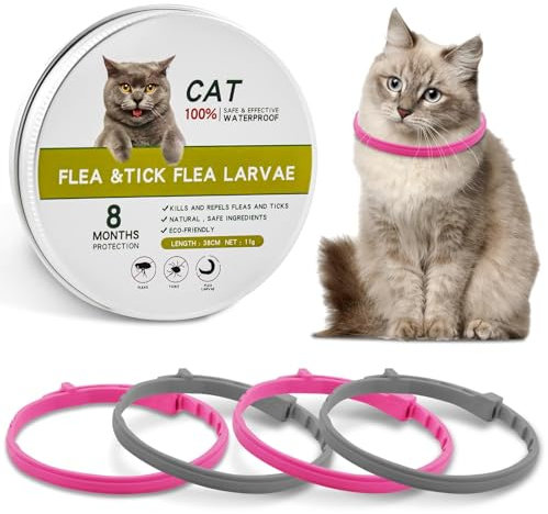 Katzenhalsband, Katzenhalsbänder 4 Piezas, Haustierhalsbandgürtel, Weichem Silikon Katzen Halsbänder, Effektiver Schutz für 8 Monate, Verstellbar und Wasserdicht (mit Eine Kiste)