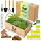 Mini Huerto Urbano para Interior - Kit de Cultivo de Plantas Aromáticas y Culinarias (Albahaca, Perejil, Cilantro, Hierbabuena, Eneldo, Tomillo) | Huerto en Casa con Semillas
