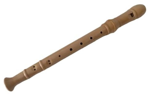 Blockflöjt Träblockflöjt 8 Håls Pedagogiskt Instrument Med Fodral För Nybörjare Och Musikövningar