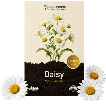 Grounding - Semi di Margherita, 10.000+ semi, altezza 15 cm - Ideale per prato, bordure, aiuole e vasi - semina facile e fioritura veloce - Qualità Europea