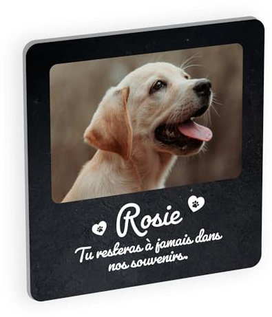 Plaque Souvenir commémorative en plexiglass pour Animal de Compagnie, Hommage funéraire Personnalisable pour Chat ou Chien décédé avec Photo et Texte, Fixation adhésive Granit