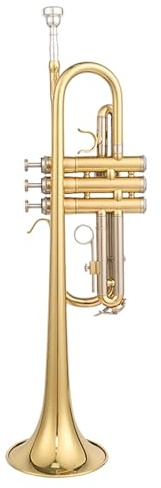 Professionisti Tromba Tromba In Do Strumento A Tre Note Orchestra Banda Esecuzione Graduata Professionale