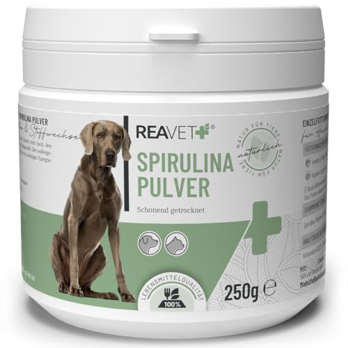 ReaVET Spirulina Organisk pulver för hundar och katter 250 g – mikroalger stöder hud och päls, immunförsvar och metaboliska processer, biologisk odling, vitaminer och mineraler