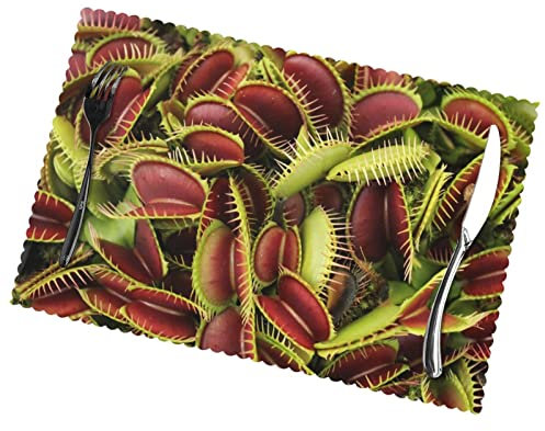 LAMAME Sets de table imprimés plantes carnivores lavables isolés Décoration de table d'intérieur et d'extérieur