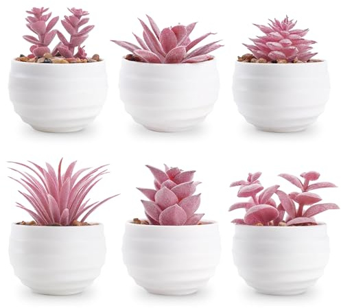 Der Rose Juego de 6 Plantas suculentas Artificiales en macetas, pequeñas Plantas Falsas para Dormitorio, Sala de Estar, Oficina, Estante de Baño, decoración