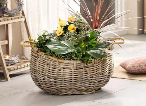 Dekoleidenschaft XXL Pflanzkorb Koobo Grey aus Rattan, 58 x 43 cm, Blumentopf, Pflanzkübel, Pflanztopf, Blumenkorb, Pflanzschale