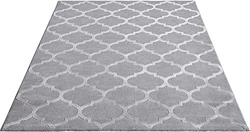 the carpet Knight Eleganter, Hochwertiger, Wohnzimmer Teppich, Softer Kurzflor, 3-D Effekt, Glänzende Design-Elemente, Hoch-Tief Struktur, Grau, 120 x 170 cm