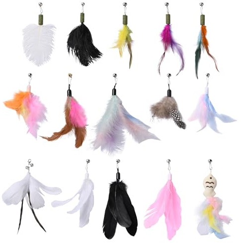 Pumwoy 15 Piezas Caña Gato Repuestos de Plumas, Juguete Plumas Gato con Campana, Juguetes para Gatos, Teaser de Repuesto sin Tintes Químicos