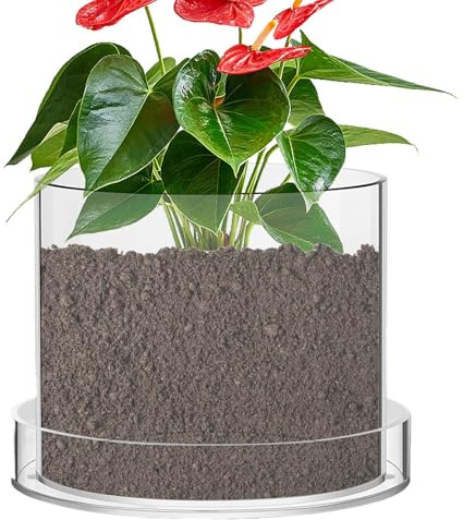 Vaso trasparente per piante | Contenitori trasparenti per piante, vasi in velluto acrilico, vasi da fiori trasparenti con fori di scarico e ciotole, per decorare piante da interno, piante grasse, erbe