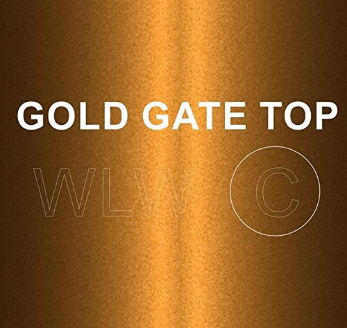 Xtremeauto GOLD GATE TOP Heat Resistant Paint 250ML Brush ON…