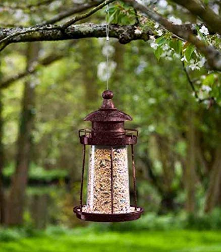 Garden Mile Estación de alimentación de aves Wild Garden, comedero ideal para semillas de aves silvestres, suet o gusanos de harina y otros alimentos para aves silvestres