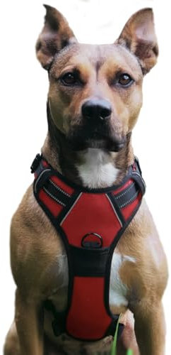 No Pull Hundegeschirr, Verstellbar Atmungsaktiv Reflektierend Weich Gepolstert Hunde Geschirr, Brustgeschirr für Hunde (Rot, L)