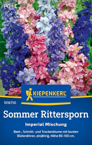 Kiepenkerl Sommersamen Sommer Mischung 1016750 - Beet-, Schnitt- und Trockenblume mit bunten Blütenähren - Saatgut, Blumen samen, Blumenmischung