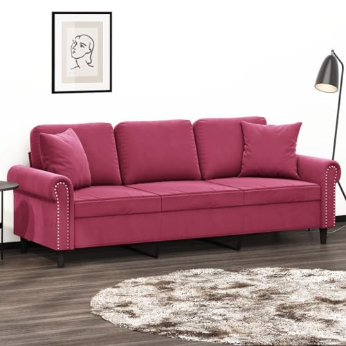 RJPLMFV Divano a 3 Posti con Cuscini Rosso Vino Couch Divano multifunzionale Adatto per camere da letto 180 cm in Velluto