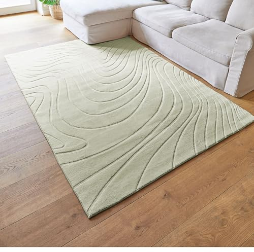 andiamo matta Dale – kort luggmatta med hög effekt för vardagsrummet sovrummet – vävmatta med hög luggdensitet – behagligt mjuk – 120 x 170 cm i salvia