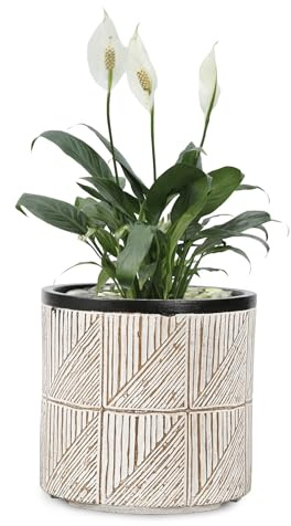 VOSSMOON 20cm Plant Pots Indoor Round Flowerpots, Large Garden Concrete Planter Outdoor Durable than Ceramic or Plasic Plant Pots, Plant Containers with Drainage Holes, Grey