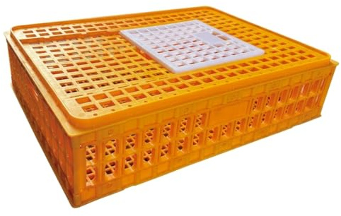 SiaBiced Caisse Transport volaille et Cage d'élevage en Plastique – pour Poulets, Canards, oies, Lapins et Pigeons, Jaune