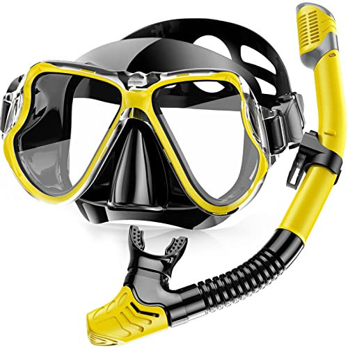 Karvipark Schnorchelset Erwachsene, Schnorcheln Set mit Taucherbrille und Dry Schnorchel, Anti-Leck & Anti-Fog Tauchmaske, Professionelle Schnorchel ausrüstung für Schnorcheln, Schwimmen und Tauchen