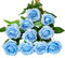 DuHouse 10Pcs Artificial Roses Fake Silk Flowers Realistic Bridal Bouquets with Single Long Plastic Stems for Arrangement Wedding Table Centerpiece Party Home Decor(Sky Blue)