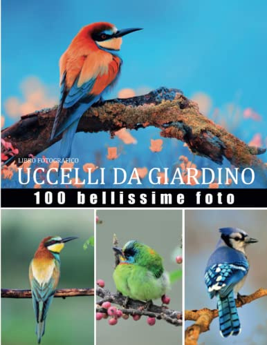 libro fotografico uccelli da giardino: Great Birds Collection 100 bellissime foto in questo bellissimo libro dedicato agli uccelli del giardino con ... originale per una persona appassionata di u