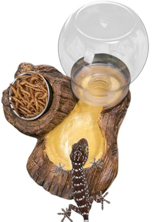 Genérico Plato de Comida para Tortugas - Plato de alimentación para Reptiles | Cuenco de Agua y Comida para, para recinto, terrario, Tortuga, Serpiente, dragón Barbudo, camaleón, Leopardo