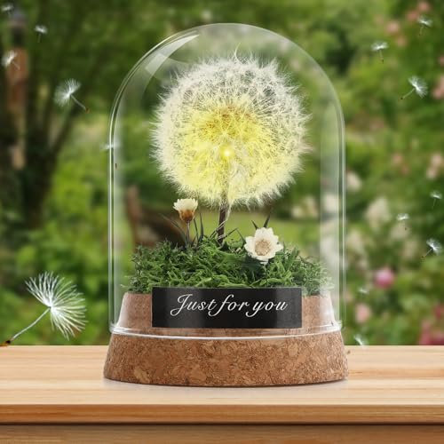 Pavlleen Flor de diente de león real en cristal, decorativo para mujeres, novia y niña, regalo de cumpleaños eterno, día de San Valentín, boda, idea de regalo