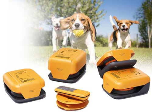 Dog Play Fence Training Set,Agility träningsutrustning för hundar,Dog Agility Course Utrustning Set