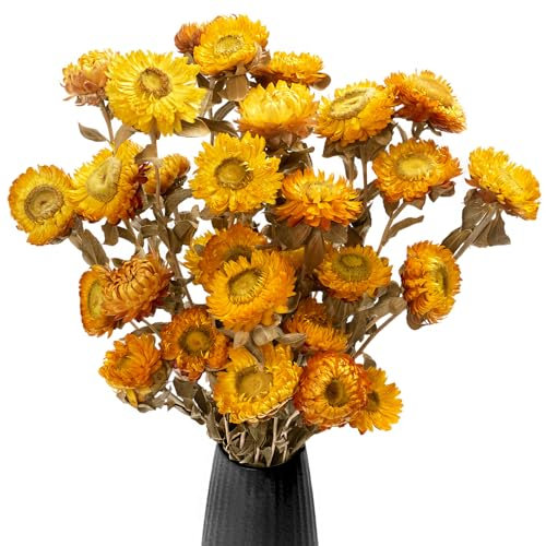 Gipizi Dried Daisy Flowers Bouquet, 25Pcs Yellow Daisies Dried Sunflowers, Natural Chrysanthemum Dry Flower Arrangements for Wedding, Table Vase Decor, Home, Office, Party Decoration (Yellow)