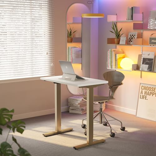 HUANUO 80 x 48cm Escritorio Eléctrico Regulable en Altura, 4 Configuraciones de Altura Memorizables, Escritorio para Trabajo en Casa y Computadora, Marco Blanco y Dorado