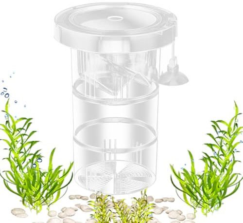 Boîte de reproduction pour aquarium, boîte de reproduction des poissons,Réservoirs de reproduction de poissons flottants | Séparateur réutilisable ajusté en maille fin pour le frai Betta Guppy Betta à