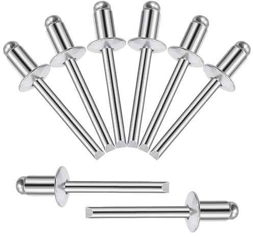 Songella Rivetti Ciechi in Alluminio da 6 x 10 mm Rivetti Pop Rivetti Ciechi a Estremità Aperta con Impugnatura in Alluminio e Mandrino in Acciaio 60 Pezzi (Argento)