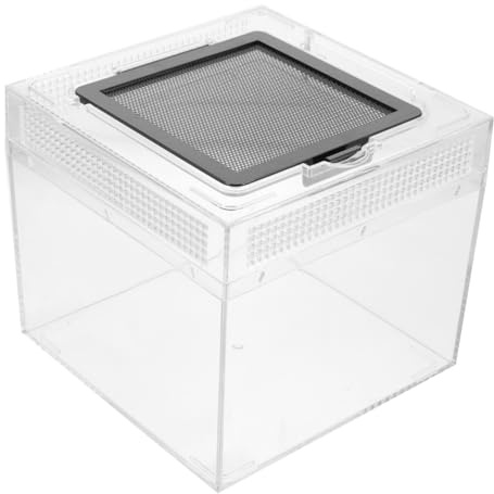 NUOBESTY Caja de Cría para Reptiles y Anfibios Transparente, Recinto de Alimentación Duradero, Comedero para Lagartos, Tamaño Medio, Incubadora de Hábitat Adecuado para Tarántulas