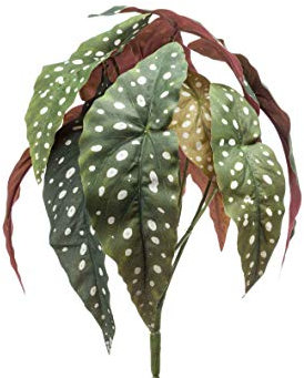 artplants.de Fake polka dot begonia ELISEIA on spike, green-white, 12/30cm - Artificial plants/False polka dot begonia