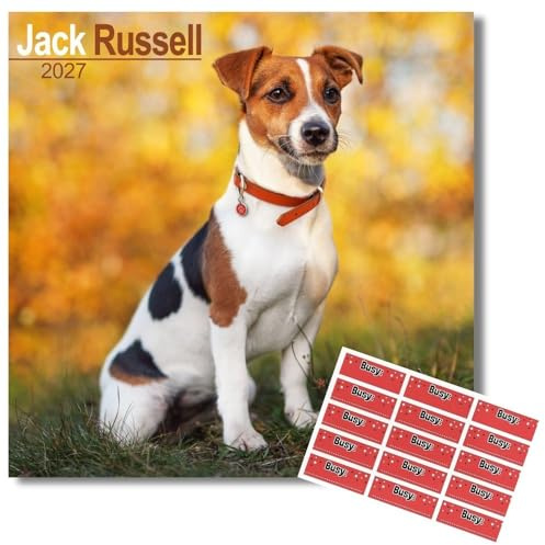 Avonside Jack Russell 2027 Square Calendar with Organisational Stickers | 16 Month Square Wall Calendar, Month to View Layout, Marked UK Holidays, High Quality Images, Home or Office Planner, 12x12in