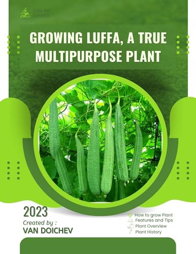 Cauliflower in Your Garden: Guide and overview