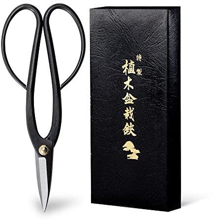 Wazakura Ciseaux Japonais Ashinaga pour Bonsaï Jardinage et Arrangement Floral - Sécateur en Acier Carbon Noir 200mm Fabriqué au Japon