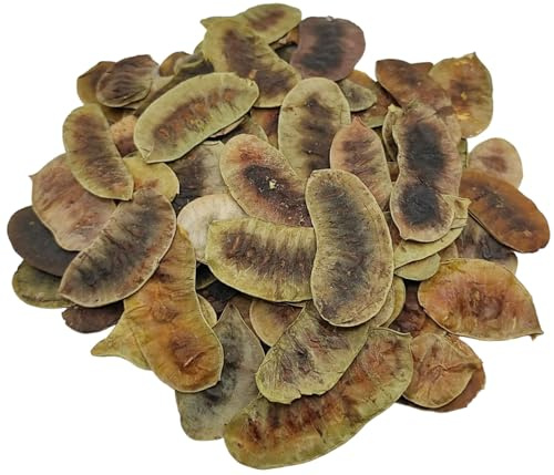 Baccelli di Senna essiccati Tisana 85g - 1,95 KG Qualità Premium Senna Alexandrina (220 grammi)