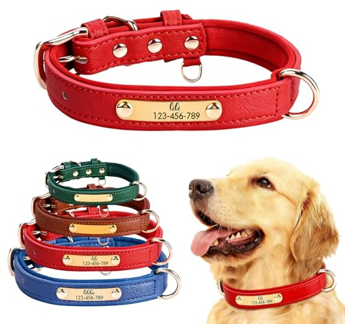 Collare per cani in pelle personalizzato con targhetta incisa Collare per cani personalizzabile regolabile perfetto per taglia piccola, media, grande