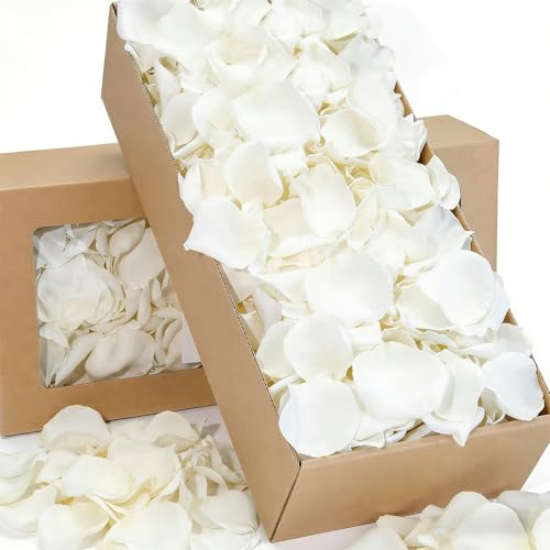 Más de 1000 pétalos de rosa blancos reales, 7.76 onzas (220 g), pétalos de flores blancas preservados para boda, pétalos de flores secas para baby shower, fiesta nupcial, decoración de mesa de pasillo