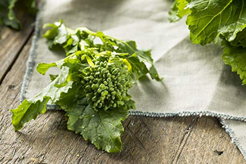 Spring Rapini (Raab) - Broccoli Seeds - Non-GMO - 2 Grams, Approximately 650 Seeds