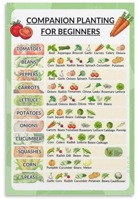Companion Planting for Beginners, Garden Planting Guide Chart with Tomatoes Basil Marigolds, Educational Soil Health Wall-Art for Classroom Home(Framed,12x18inch(30x45cm))