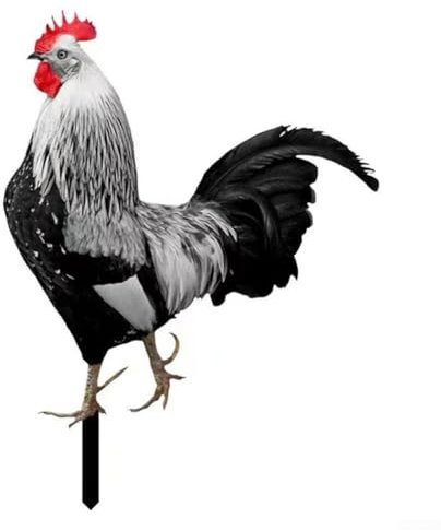 Yhenlovtt Estatuas y escultura de gallo de jardín, animales de pollo de metal, figuras de adorno de césped, obras de arte para exteriores, patio, patio trasero y decoración de cocina del hogar (B)