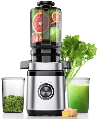 Entsafter, Slow Juicer, Entsafter Gemüse und Obst Testsieger mit | 350W DC-Ultrasilent-Motor | 110MM Einfüllöffnung | 2 Tassen | Saftpresse Elektrisch,Silber