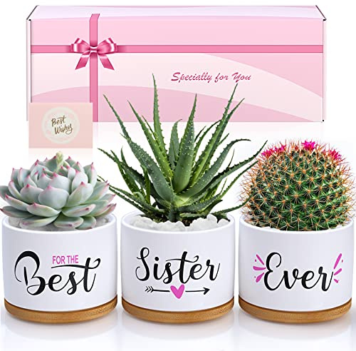 TuDou Birthday Gifts for Sister, Christmas Sister Gifts for Sister Brother Friends from Sister Brother Bestie, Best Sister Ever Ceramic Succulent Pots, Unique Presents Arrive Beautifully Gift Boxed