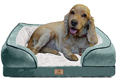 Traumreiter orthopädisches Hundebett für mittelgroße Hunde 70x50 cm (Innenmaß ca. 48x28 cm), Grün, Hundekörbchen Hundekorb Hundekissen Hundehöhle Hundesofa Hunde Bettchen Hundebetten mittlere Hunde