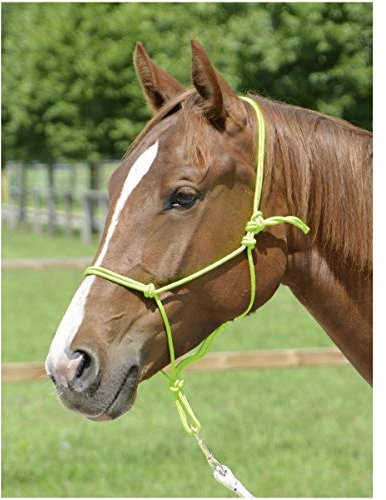 Knotenhalfter SMOOTH II