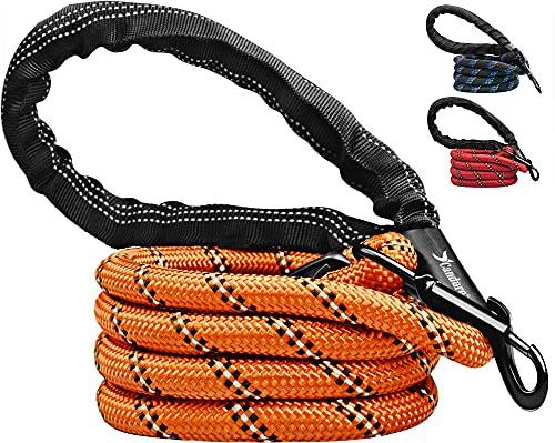 Candure Hundeleine für Große und Kleine Hunde - Bissfeste Trainingsleine mit Weich Gepolstertem Griff, 1.5M Hausleine in Orange
