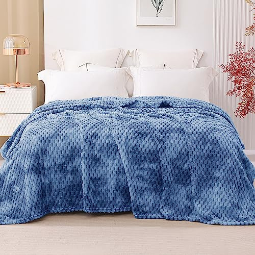 HOZY Coperta Plaid Pile, Coperta Matrimoniale 230 x 270 cm Flanella, Coperta Divano Super Grande Caldo Morbida - Blu Pietra