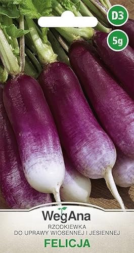 WegAna Rábano Felicja Semillas de Rábano 5g (Unas 750 semillas) Variedad temprana, Semillas de hortalizas robustas, Semillas de hortalizas, Cultivo de semillas, Semillas para invernadero